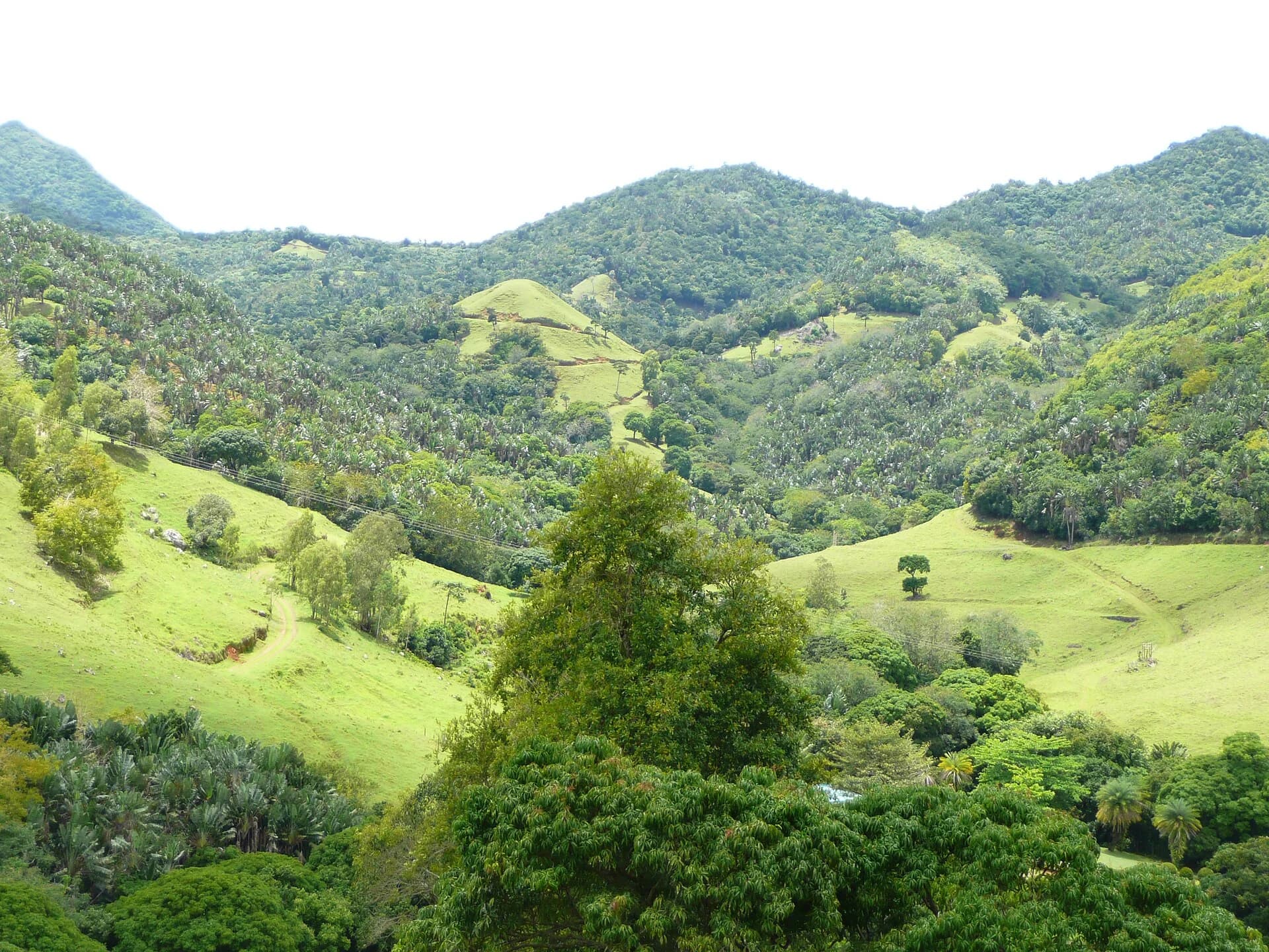 Grüne Hänge und Wald in Vallée de Ferney