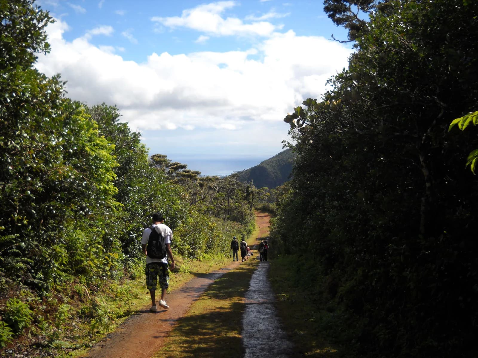 Wanderer auf dem bewaldeten Macchabée Trail mit der Küste in der Ferne