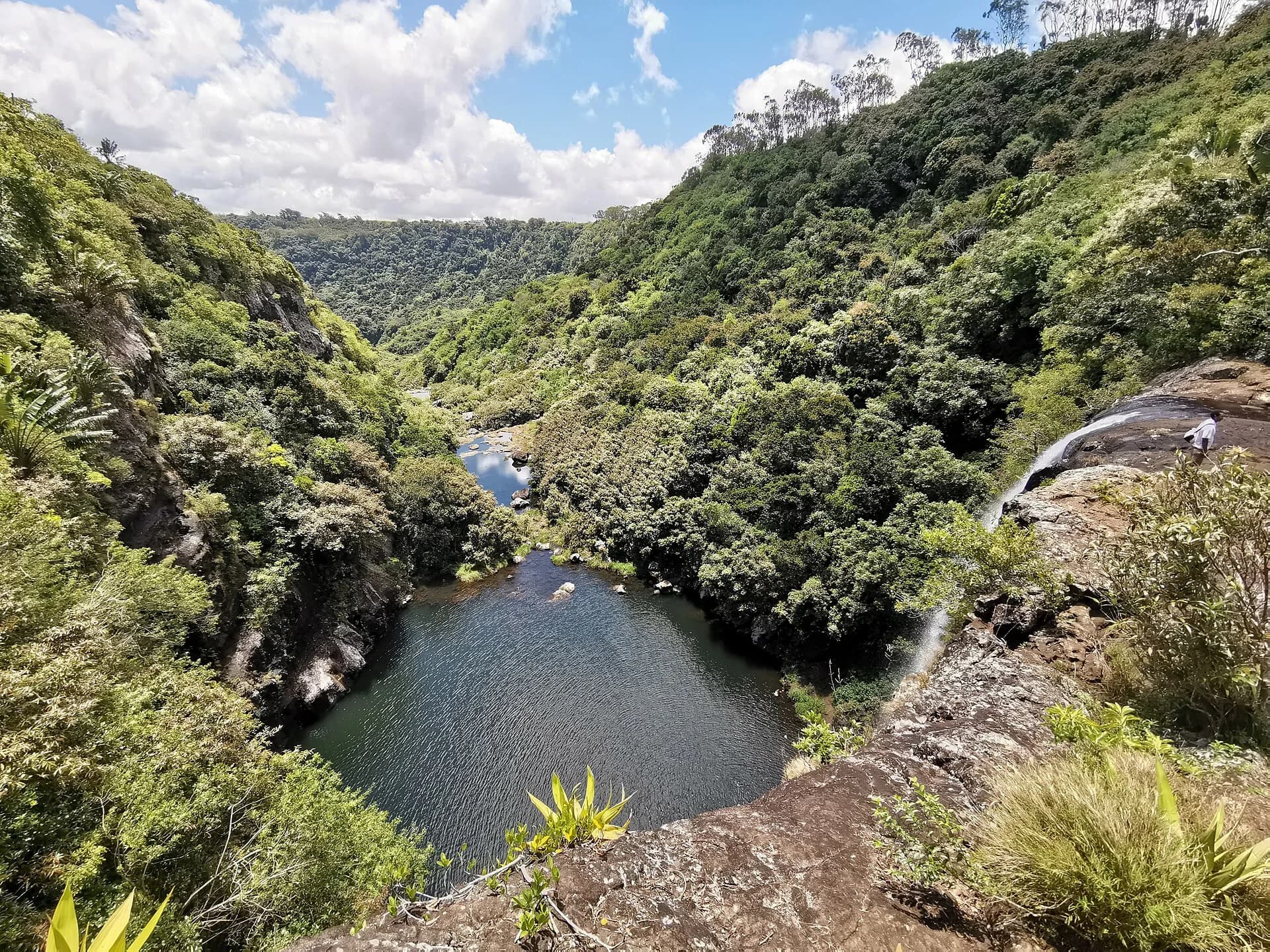 Bewaldete Schlucht und Wasserbecken an den Tamarind Falls