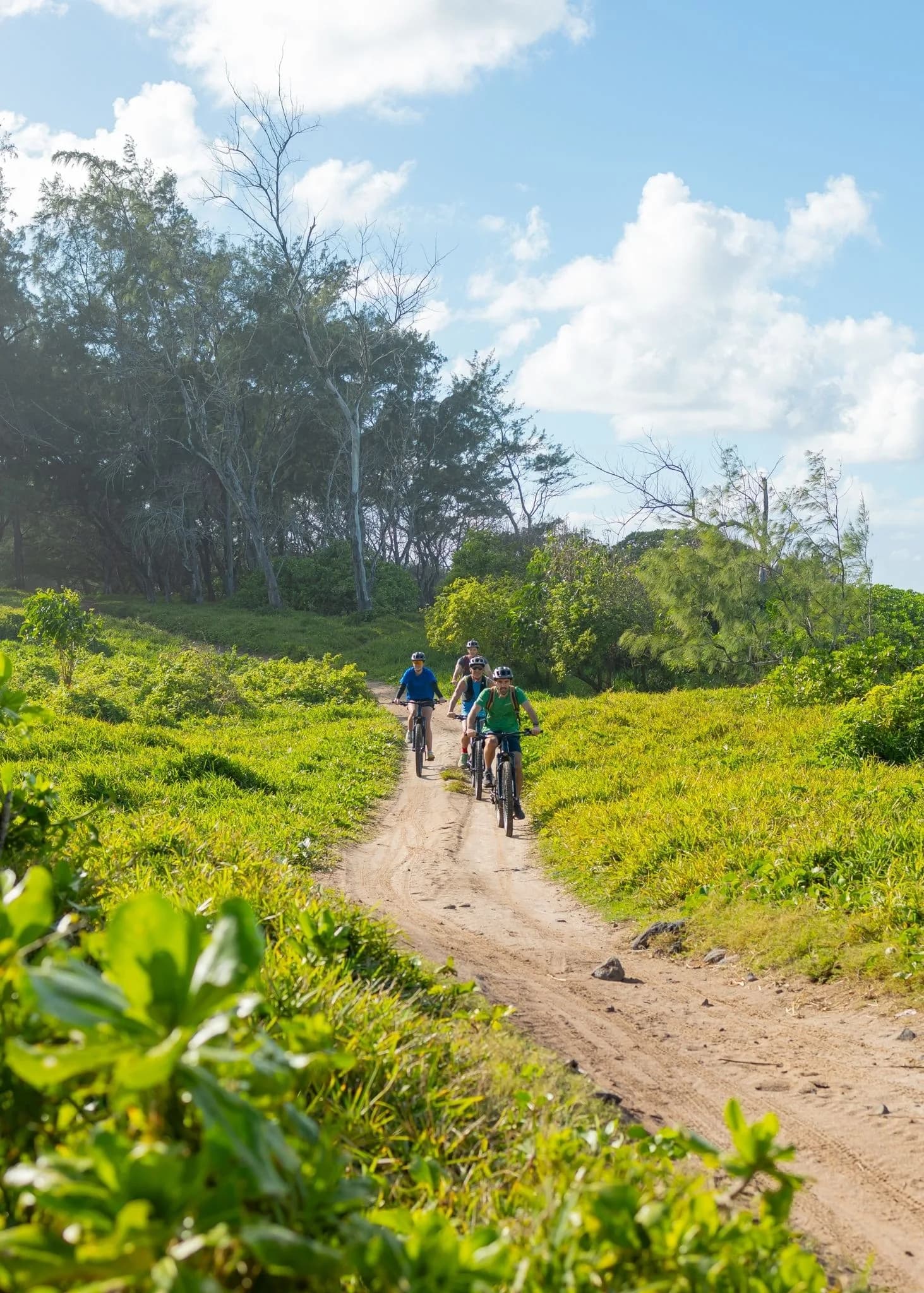 Wild South E-bike Adventure photo 2
