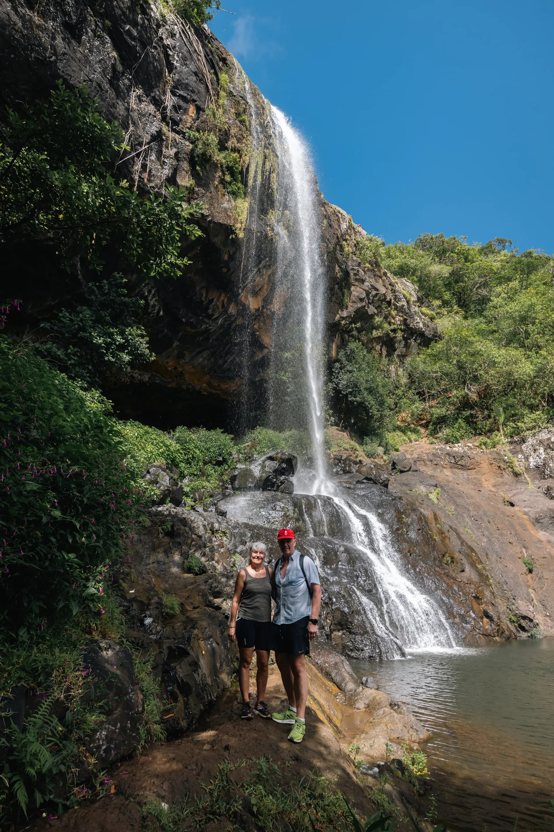 Best of Mauritius: Top Hiking, Waterfalls & Dolphin Tours photo 4