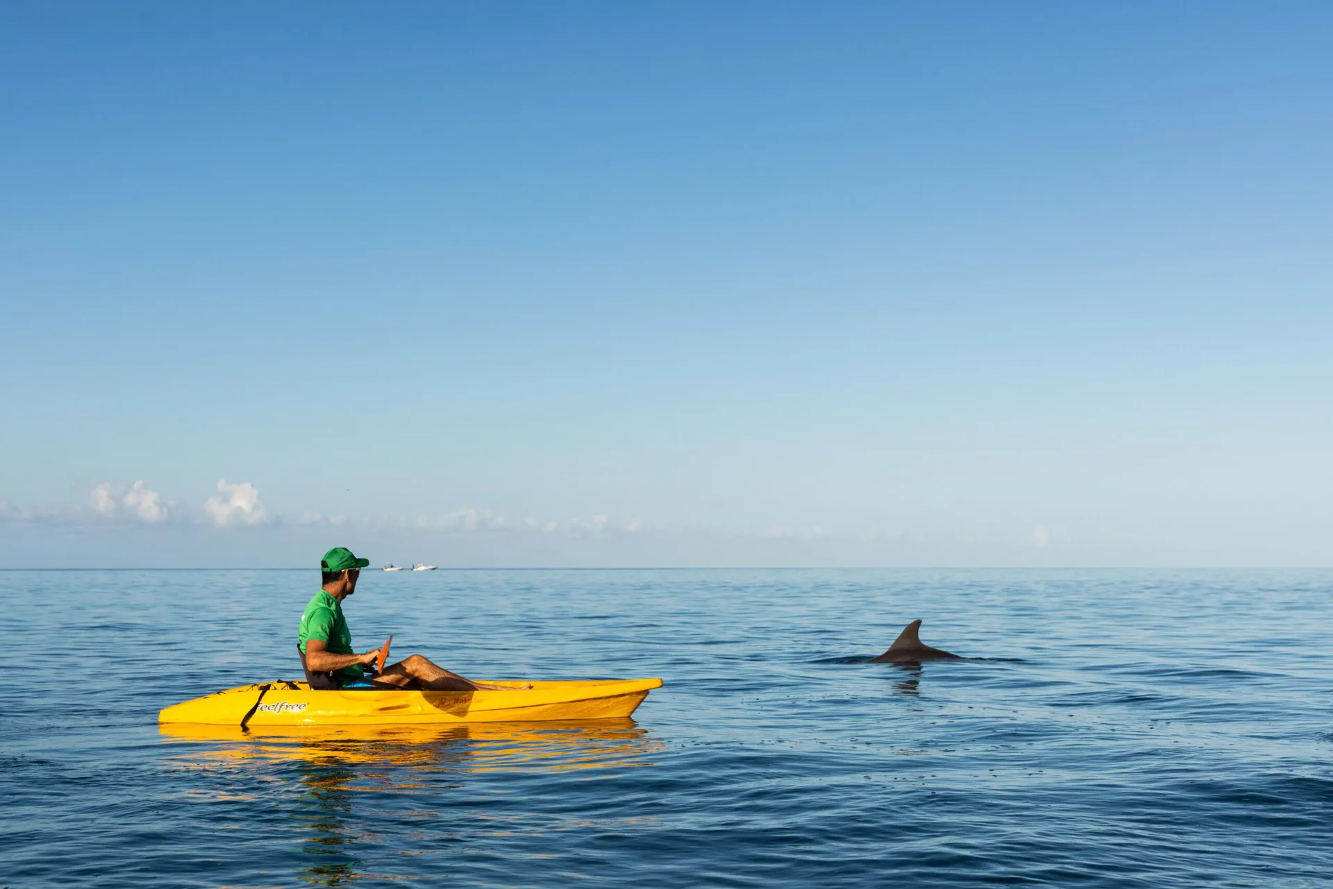 Kayak with Dolphins in Mauritius photo 3