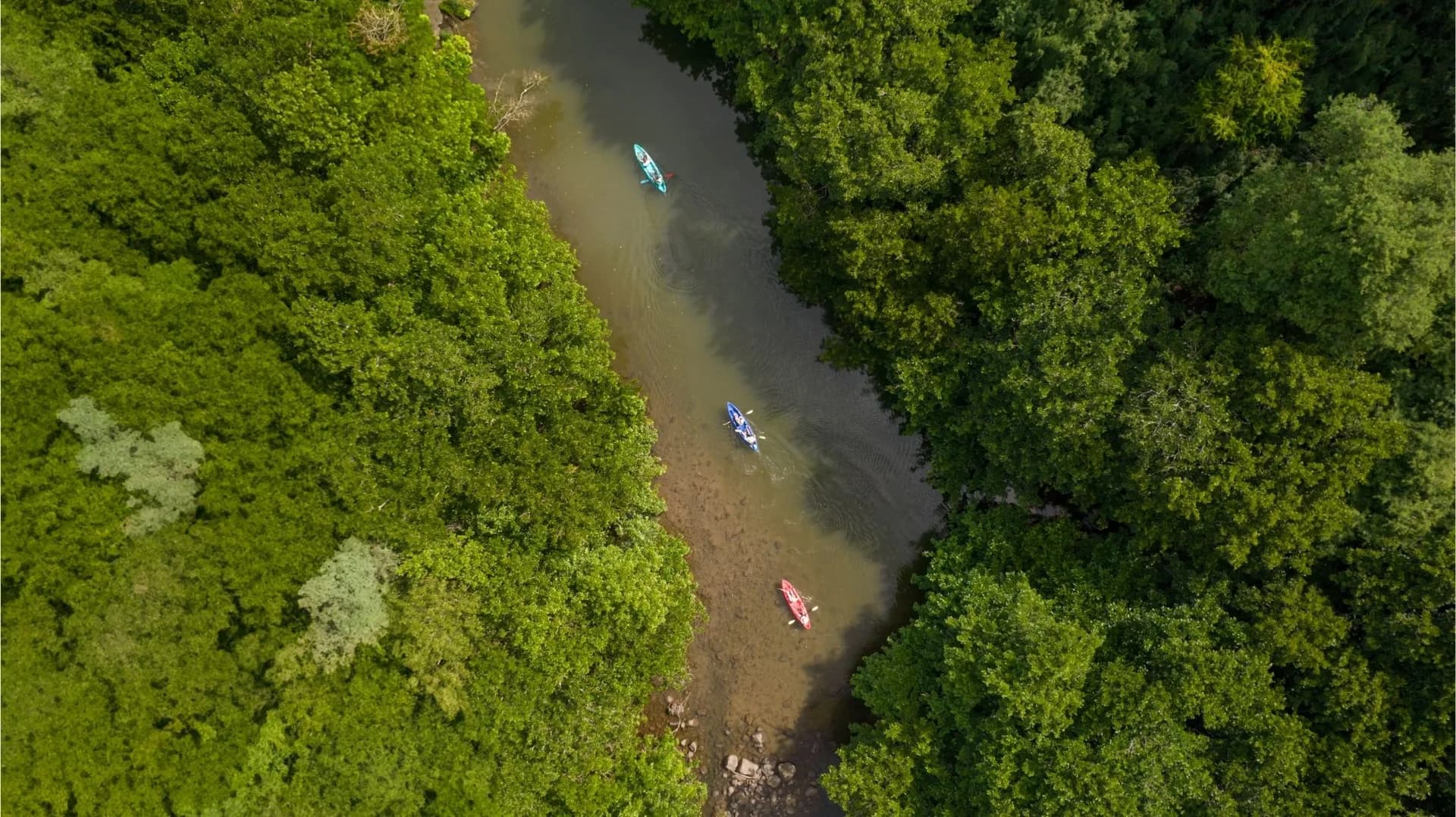 Kayak on the Tamarin River