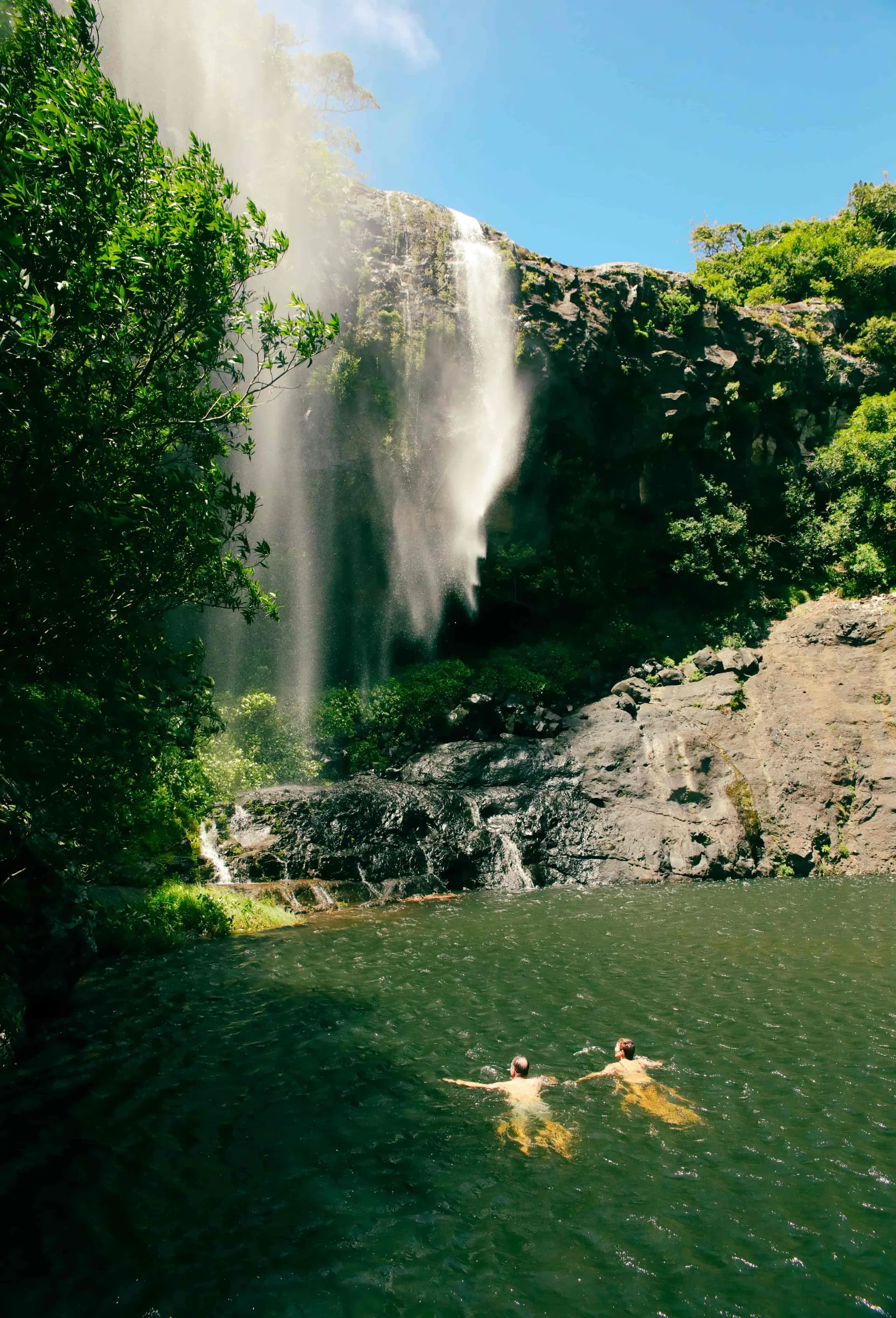 Best of Mauritius: Top Hiking, Waterfalls & Dolphin Tours photo 3