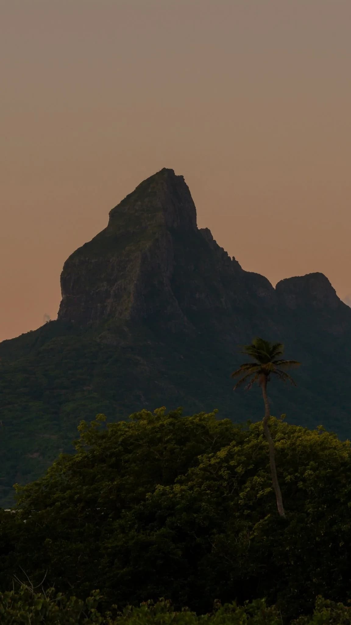 Kayak at Sunset on the Tamarin River photo 3