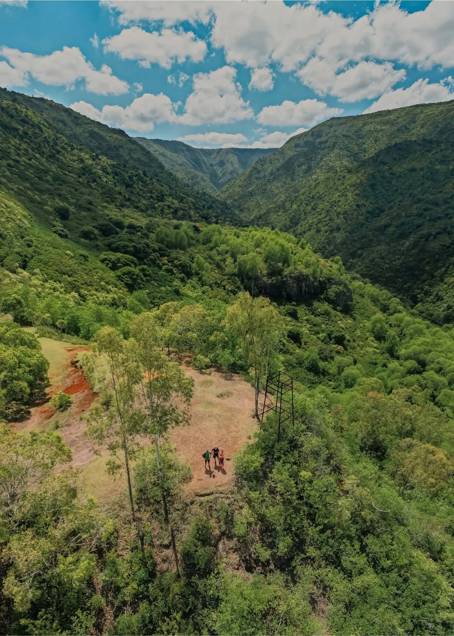 Hiking at Black-River Gorges photo 3