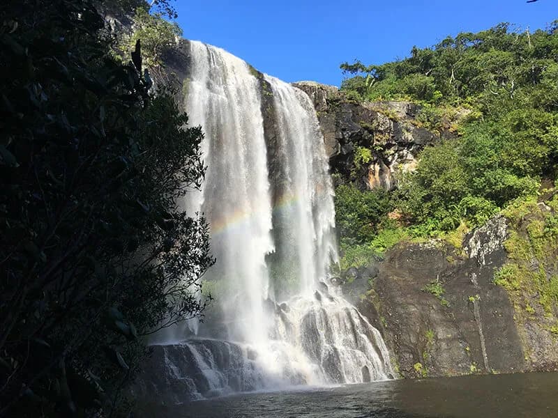 Guided Hike at Tamarind Falls - Half Day