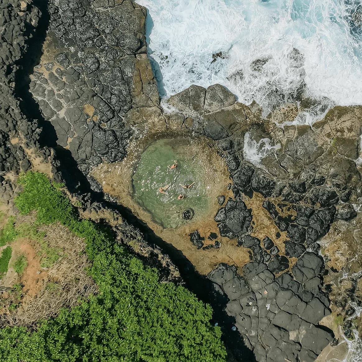 Discover the Wild South - Guided Hike