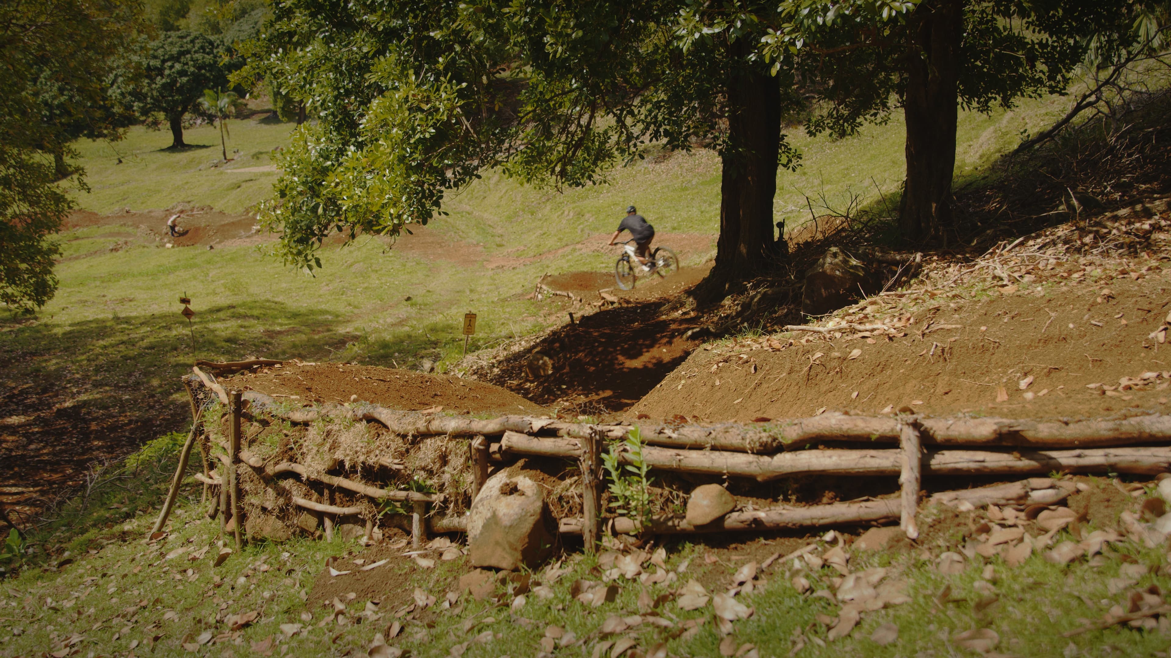 Private MTB Skills Coaching in Mauritius