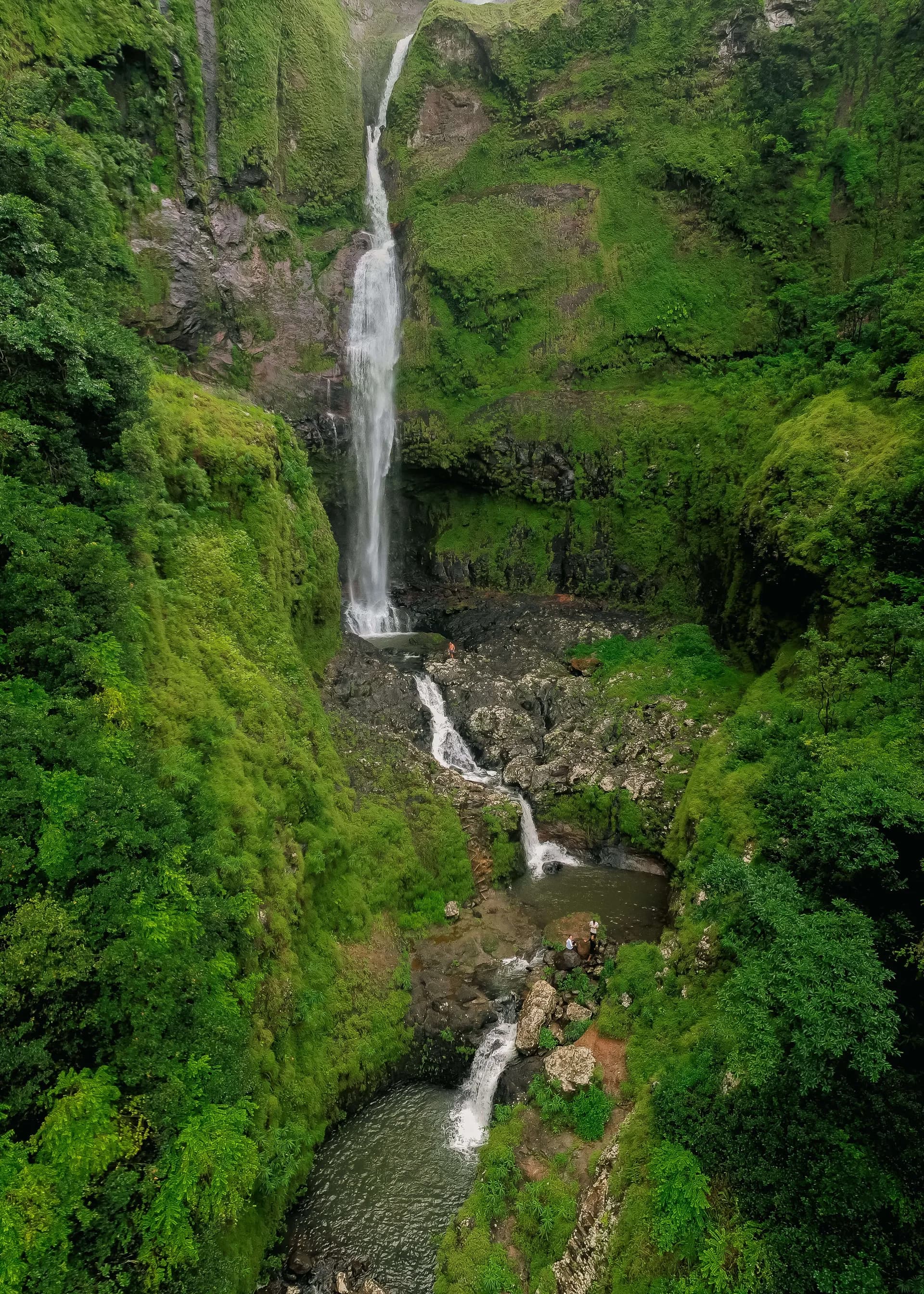 Tamarind Falls dropping through a deep green volcanic canyon
