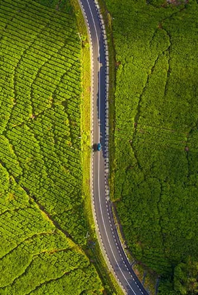 Tea highlands