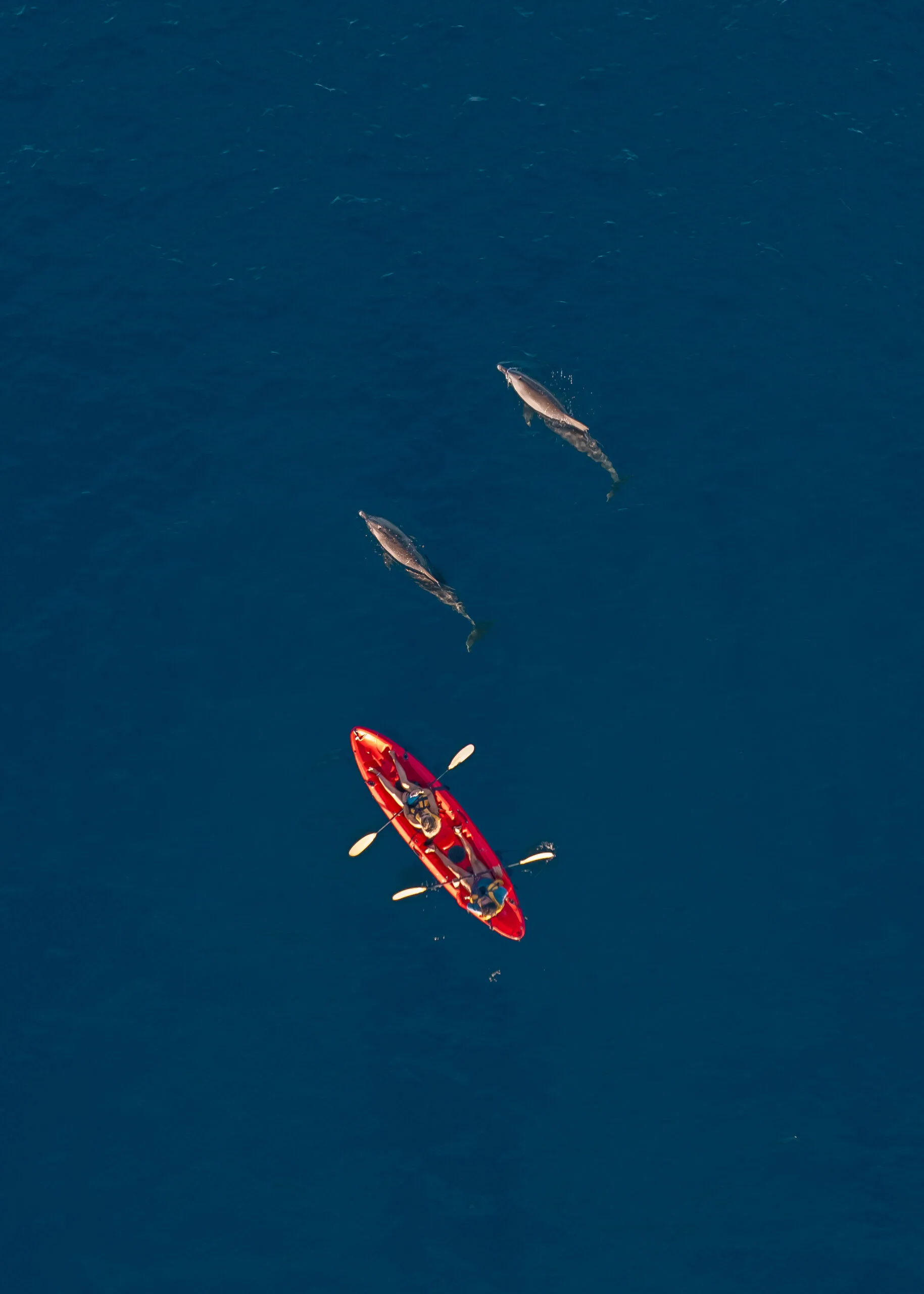 Private sea days