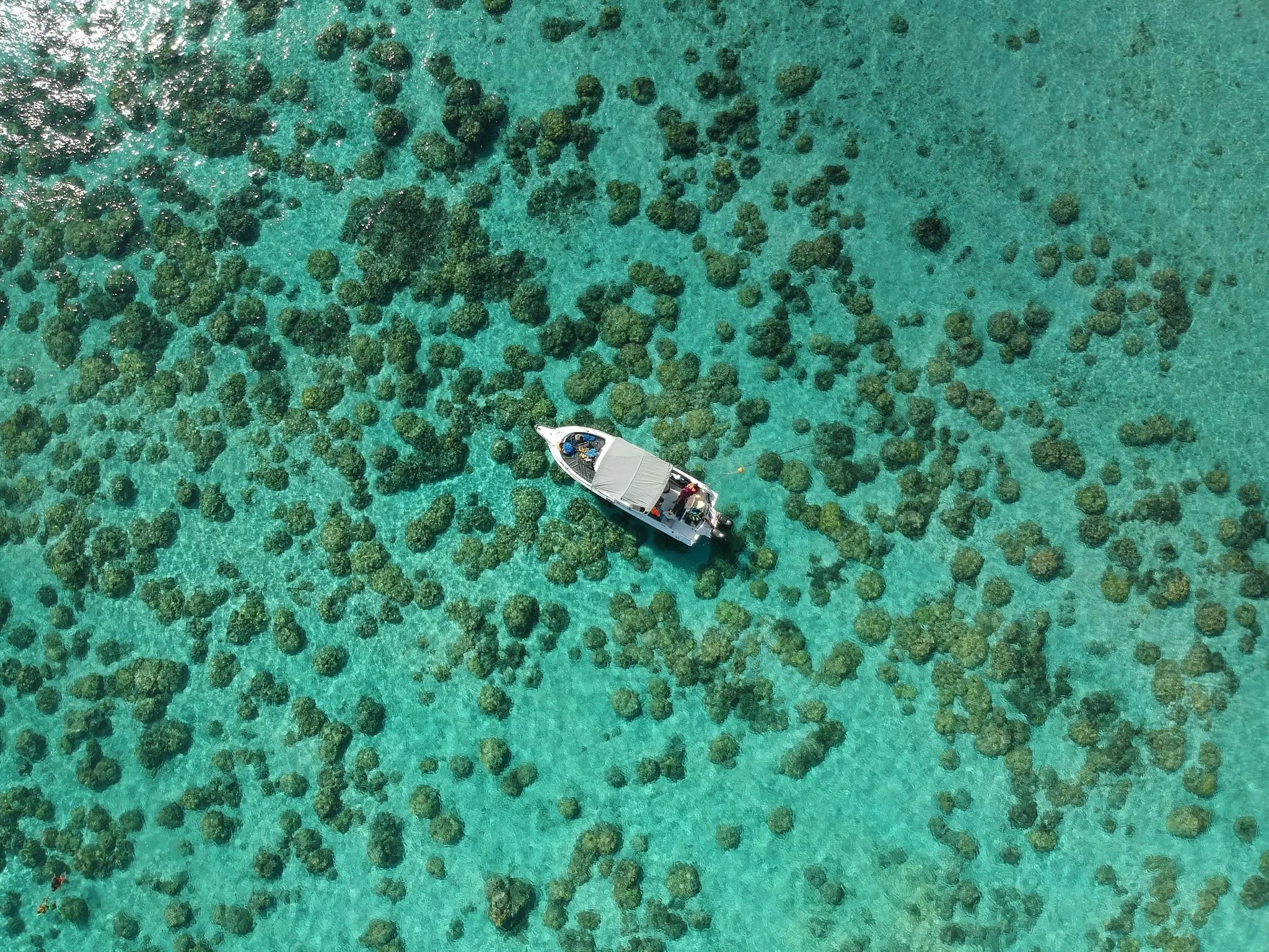 Mauritius Travel Planning: How An Deor Shapes a Nature-Led Island Journey