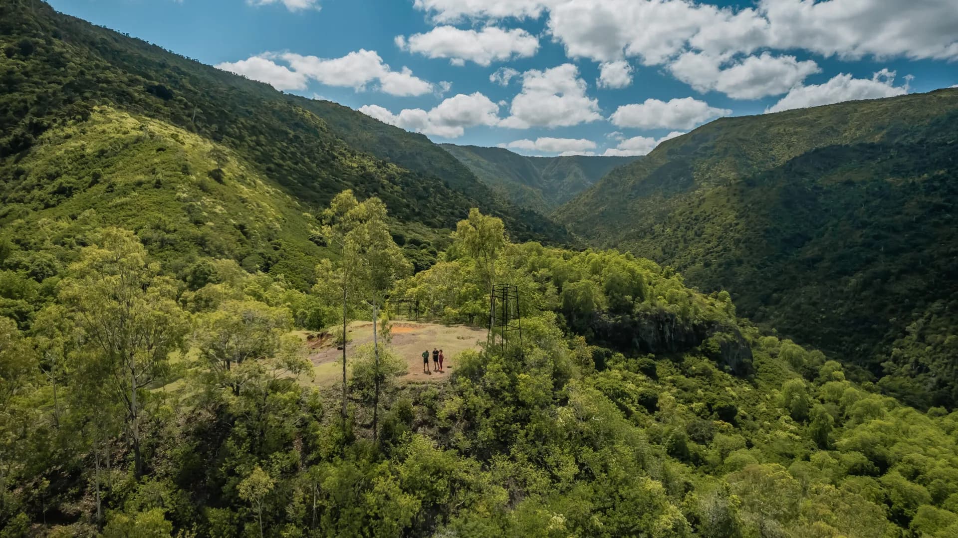 Green ridges and native forest in Black River Gorges National Park